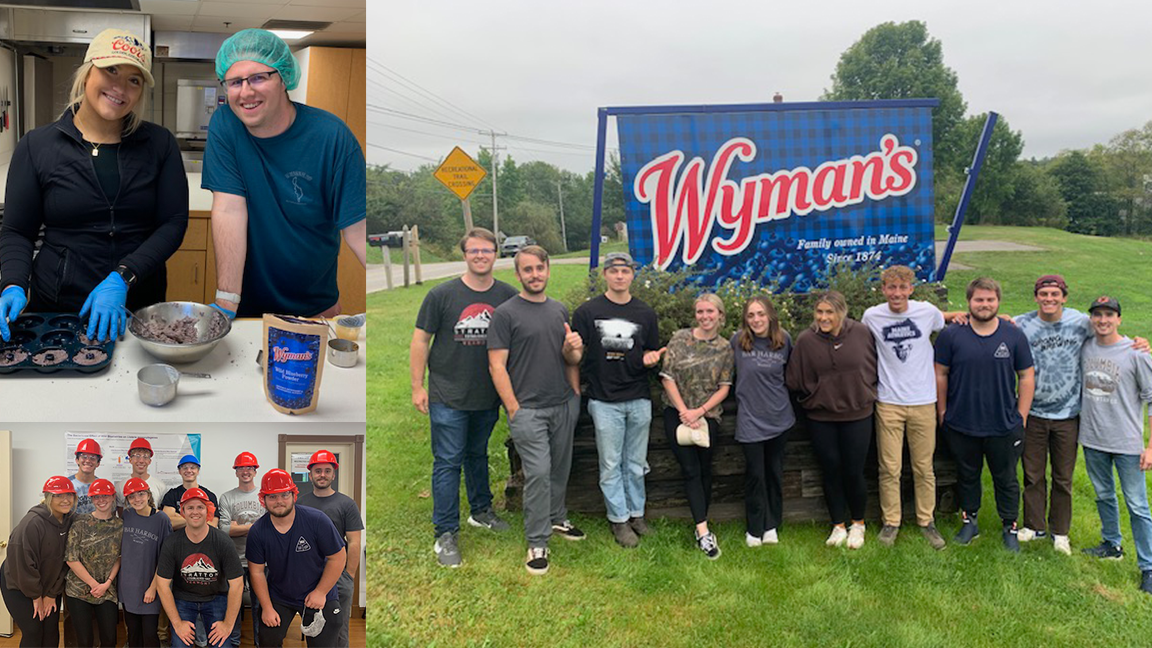 Business of Blueberries