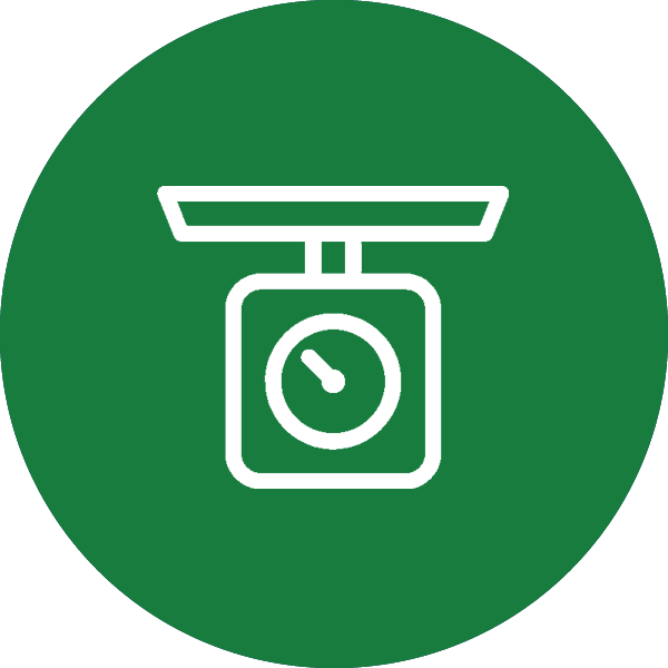 green icon with a scale