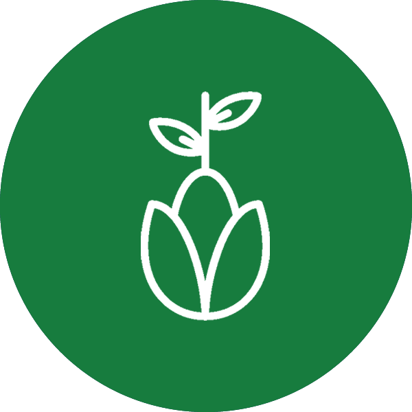 a green icon with an image of a seed opening into a plant