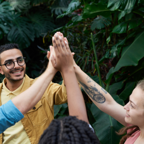 picture of four people high fiving and smiling