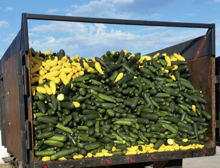 Squash in the back of a truck