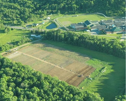 Overhead view of a field and residential area