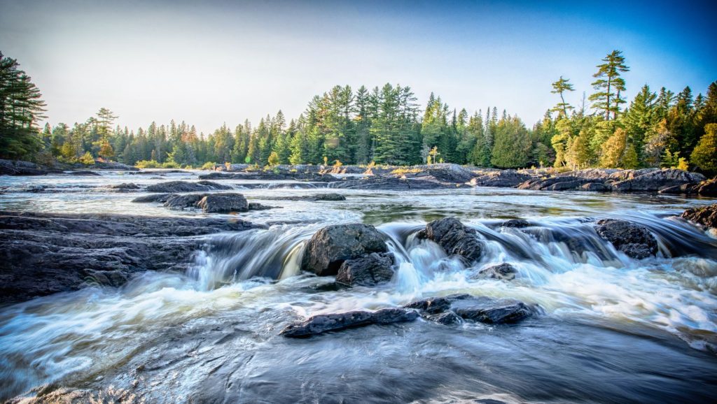 Outdoor image of trees and a stream.