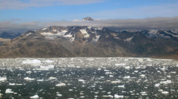 chunks of ice floating on water