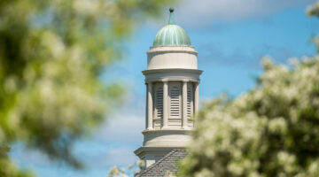 building spire view through foliage