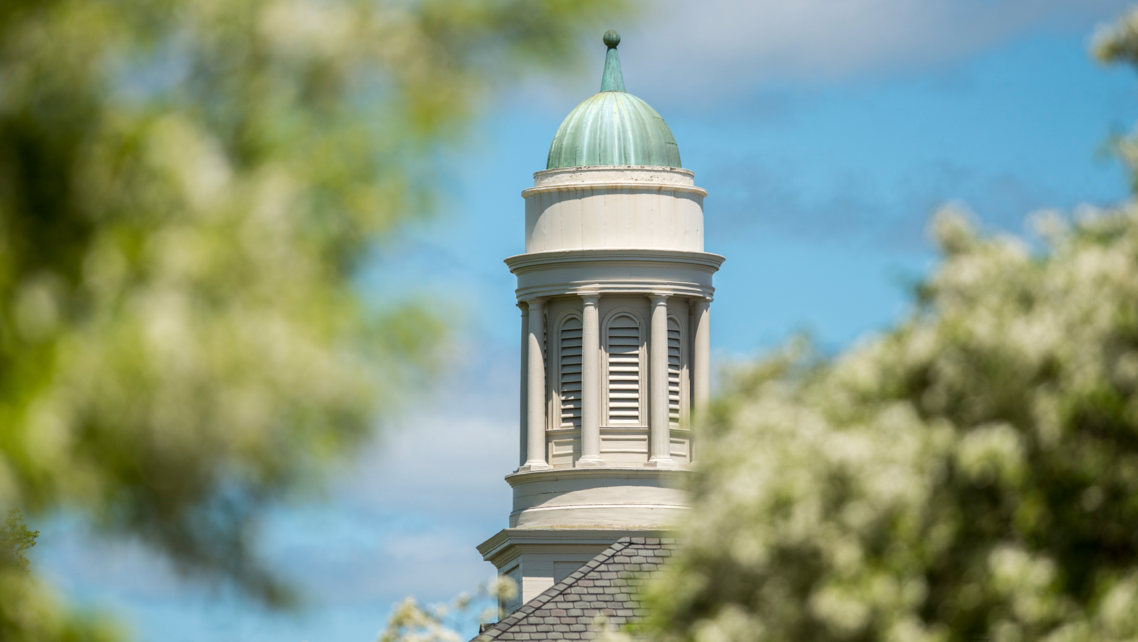building spire view through foliage