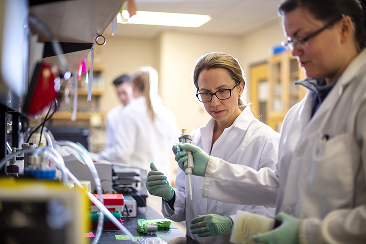 people in a lab setting working in pairs