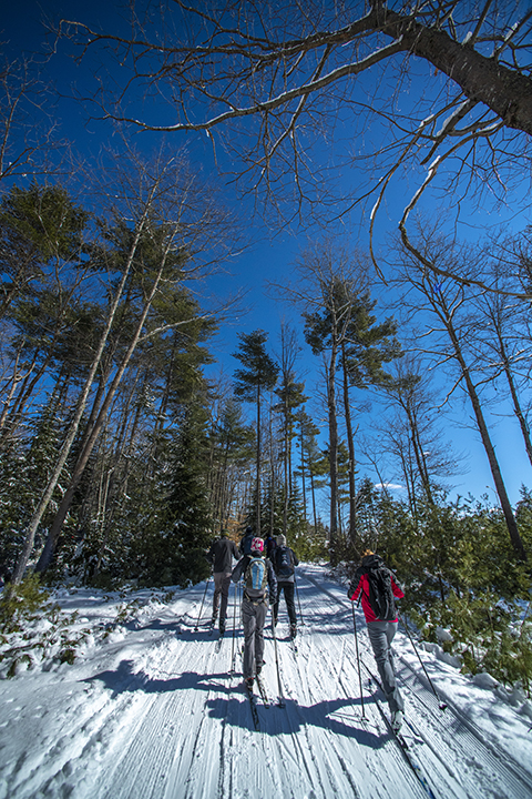 four people with skiis on a snowy path