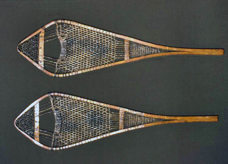 Penobscot Racing Snowshoes