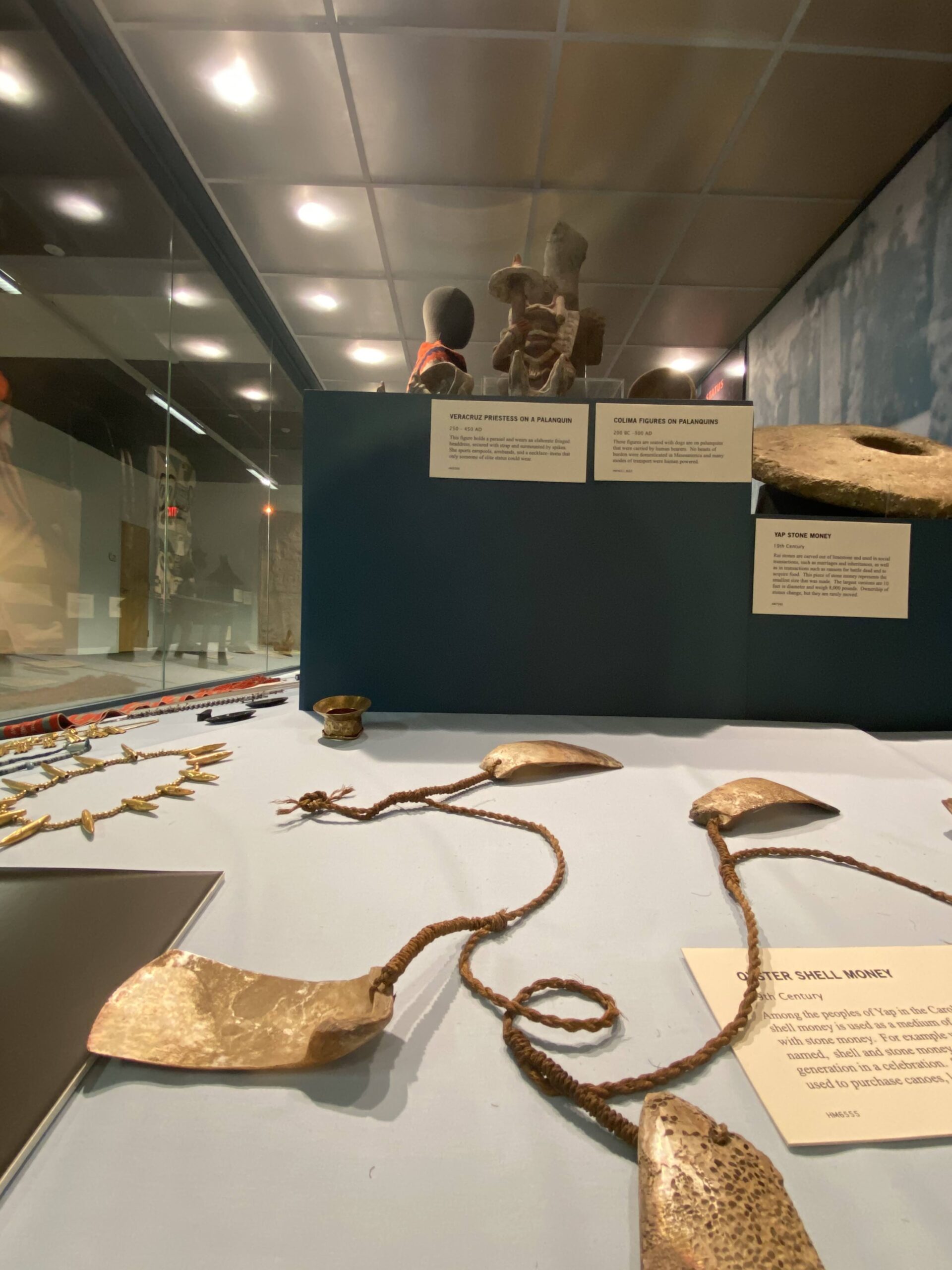 A museum exhibit featuring large shaped pieces of oyster shell on a rope.