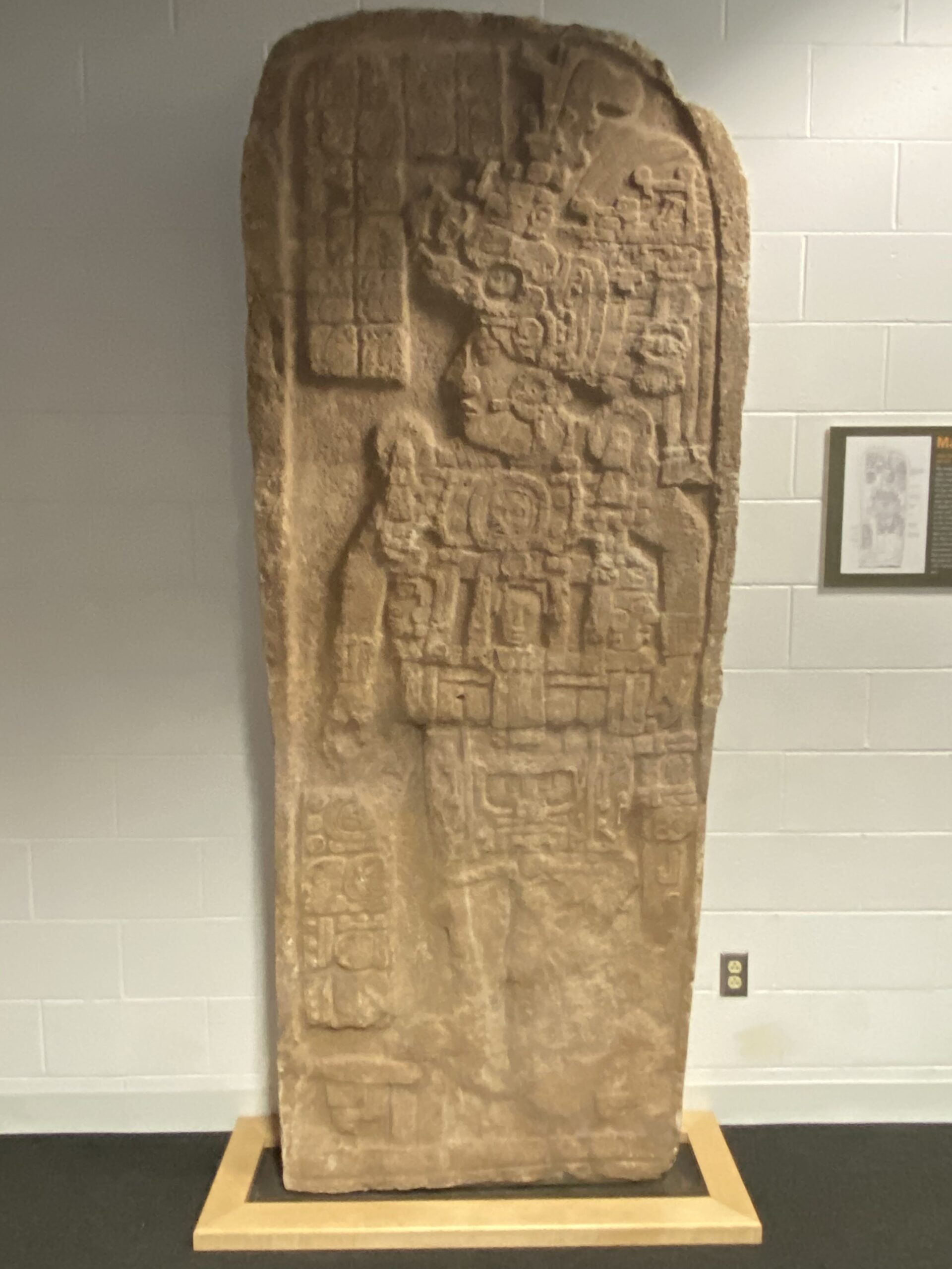Image of Maya stele in Hudson Museum