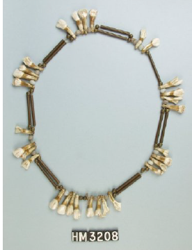 Image of a necklace made with long copper tube beads and elk incisors.