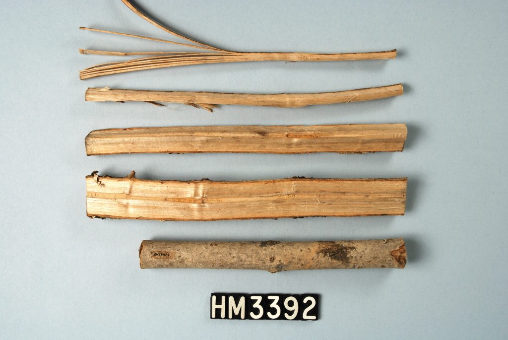 Image of brown ash stick in different stages of the splitting process.