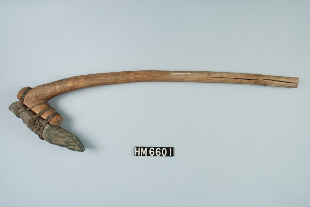 Tool made of a curved piece of wood with a stone implement attached.