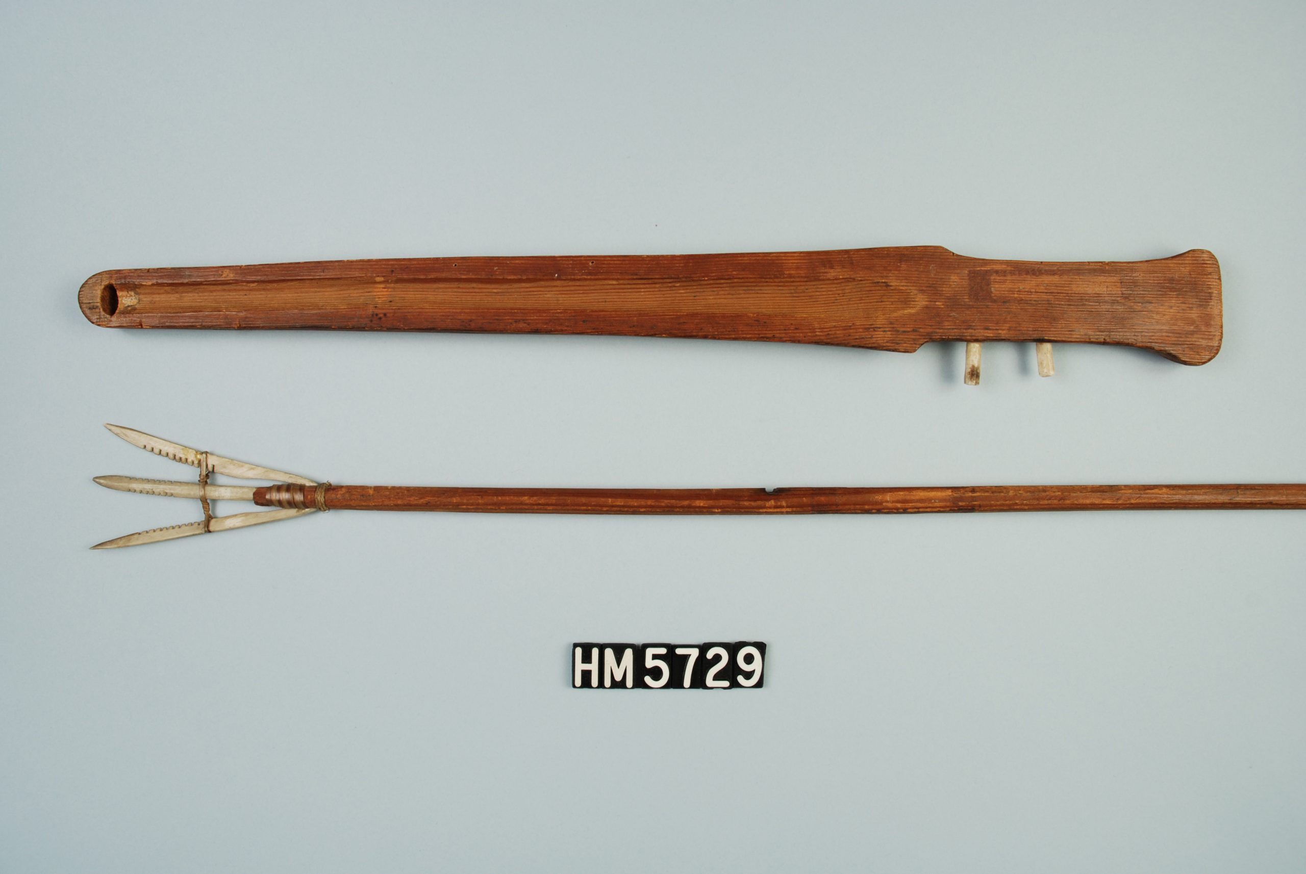 Image of three-tined harpoon and a long wooden implement with two bone pegs.