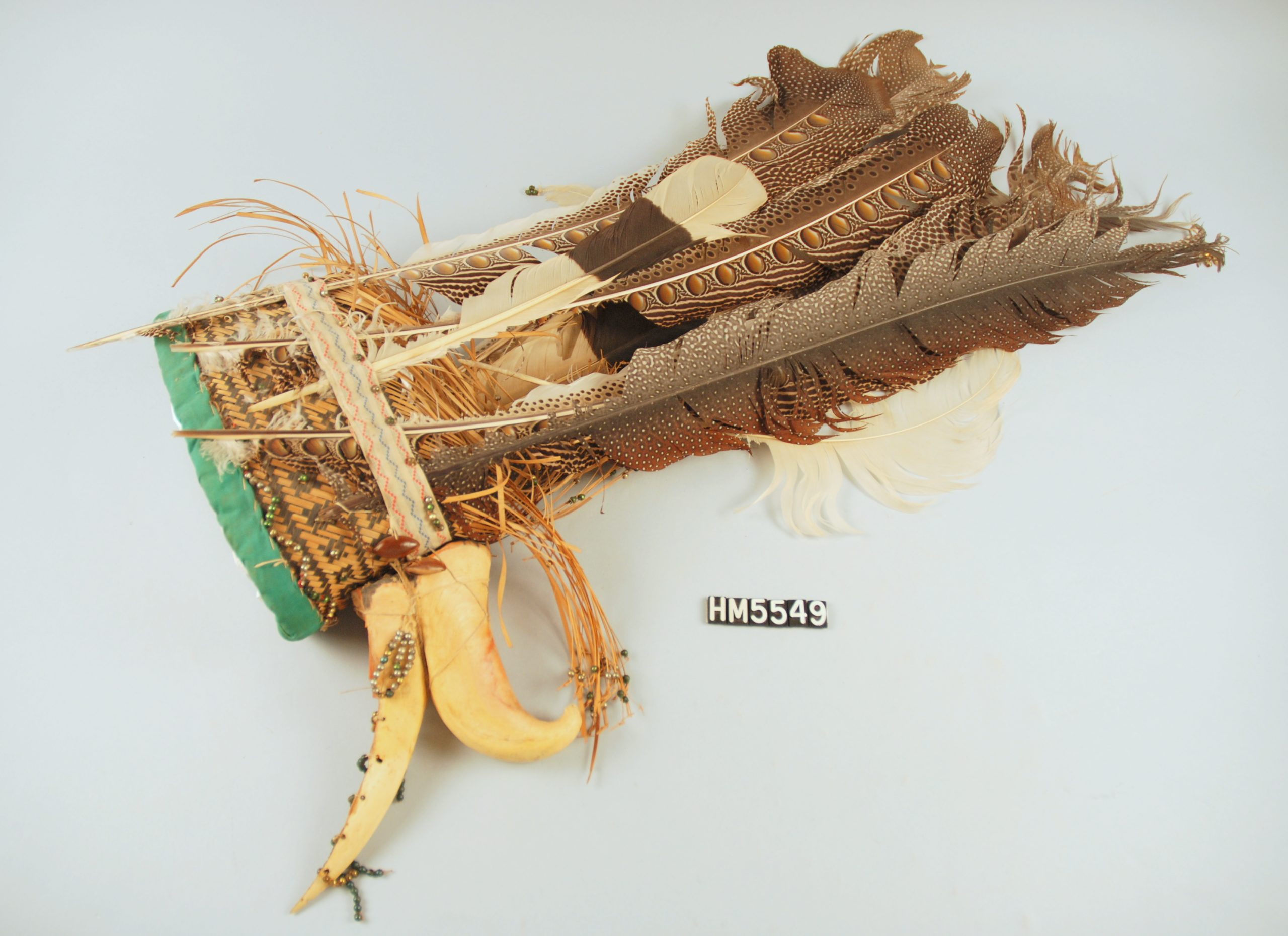 Image of a headdress with tall feathers and a hornbill horn.
