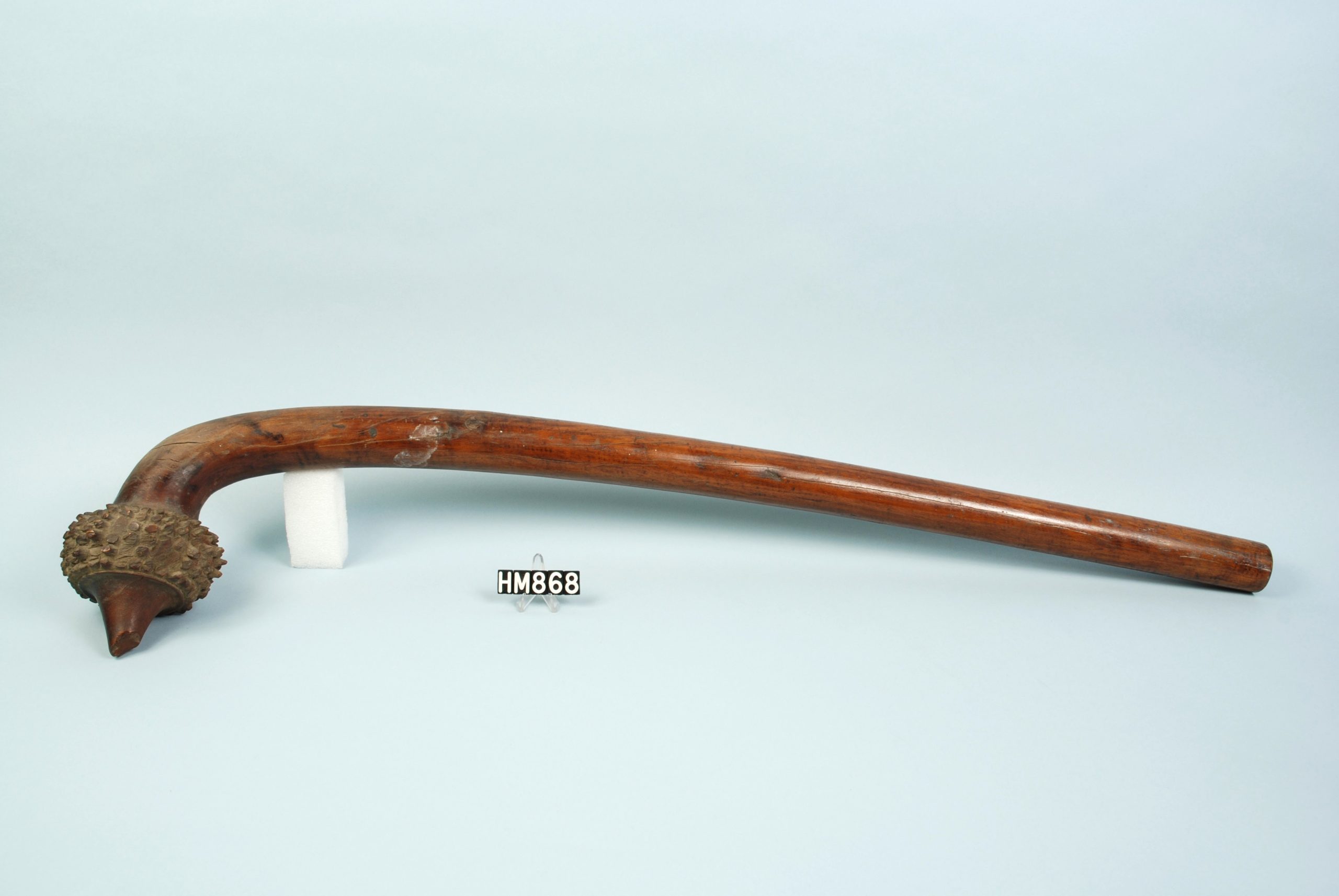 Image of a club made from a branch curved at one end. The curved end is shaped to a point surrounded by a raised ring studded with smaller points.