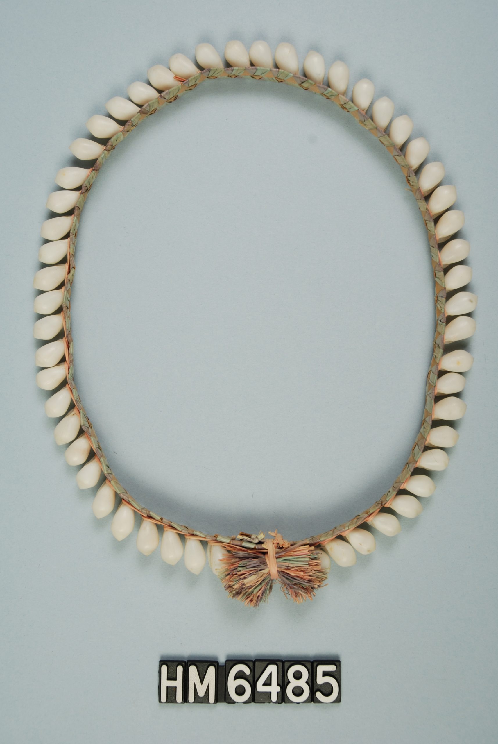 Image of a circlet made of fiber with small shells attached around entire edge and decorative fringe at clasp.