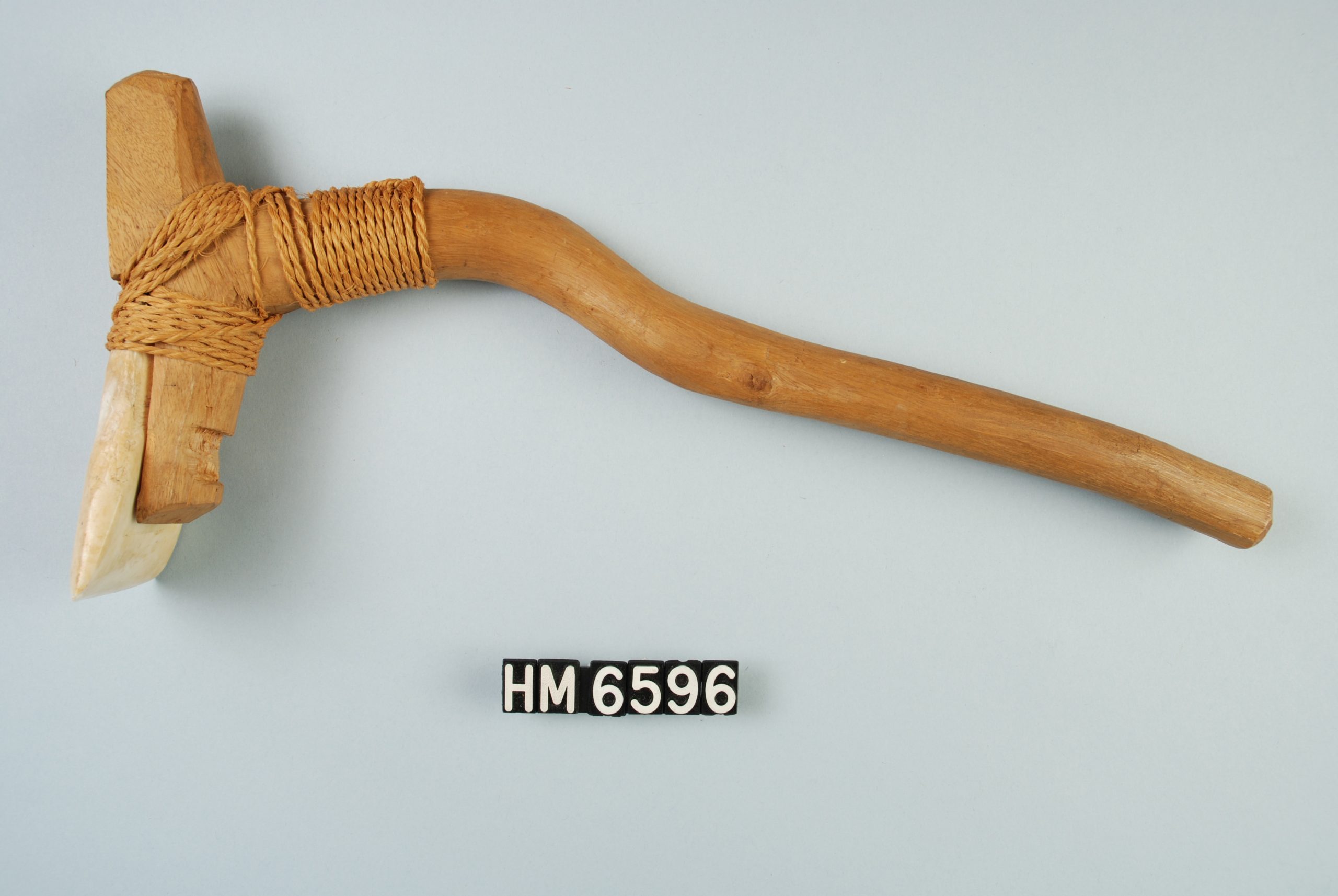 Image of tool made with wooden handle, one end shaped like a "T" with a sharpened shell lashed to one side.