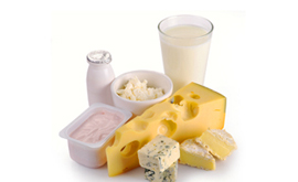dairy products