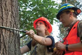 McIntire-Stennis Act