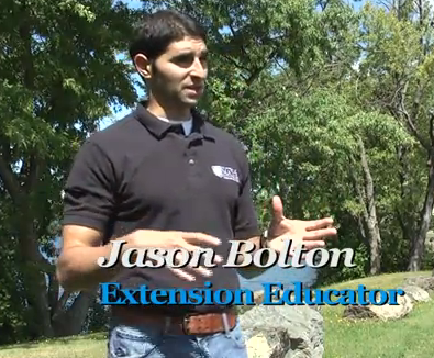 Football and Food Safety