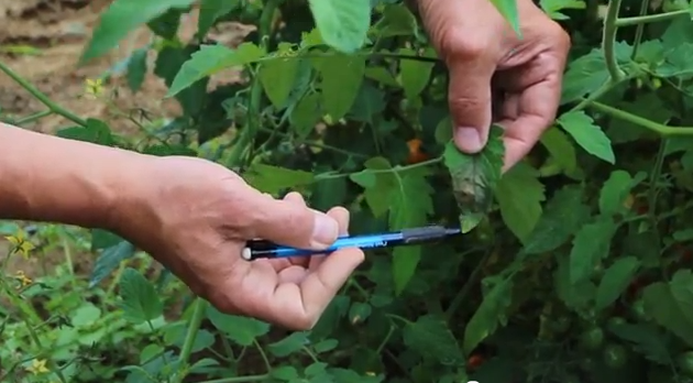 Pointing out light bright