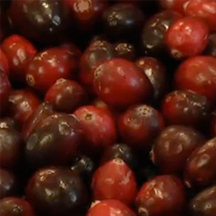 Cranberries