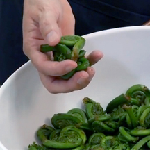 fiddleheads
