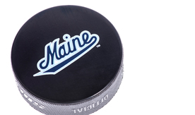 hockey puck