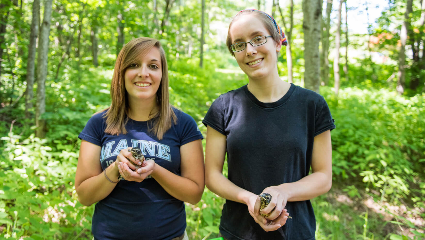 UMaine interns at Avian Haven