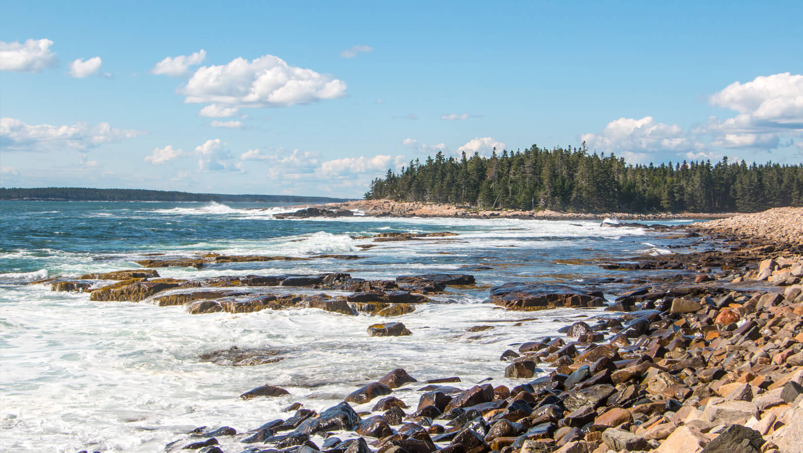 Coast of Maine in Acadia National Park