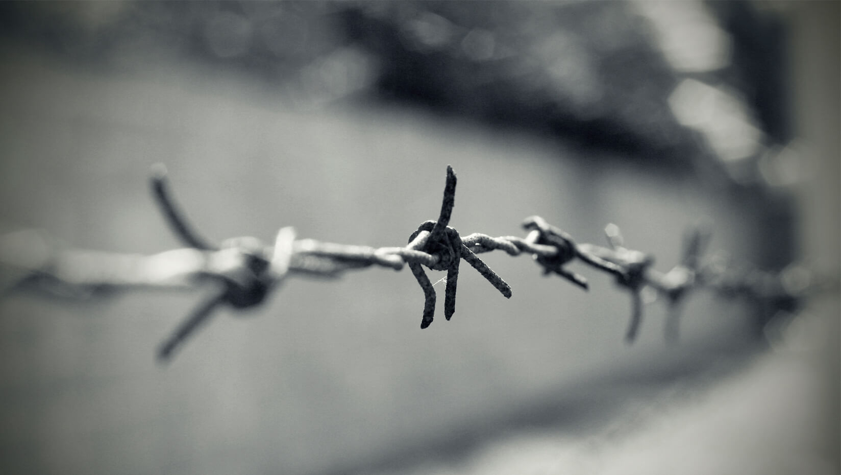 Barbed wire