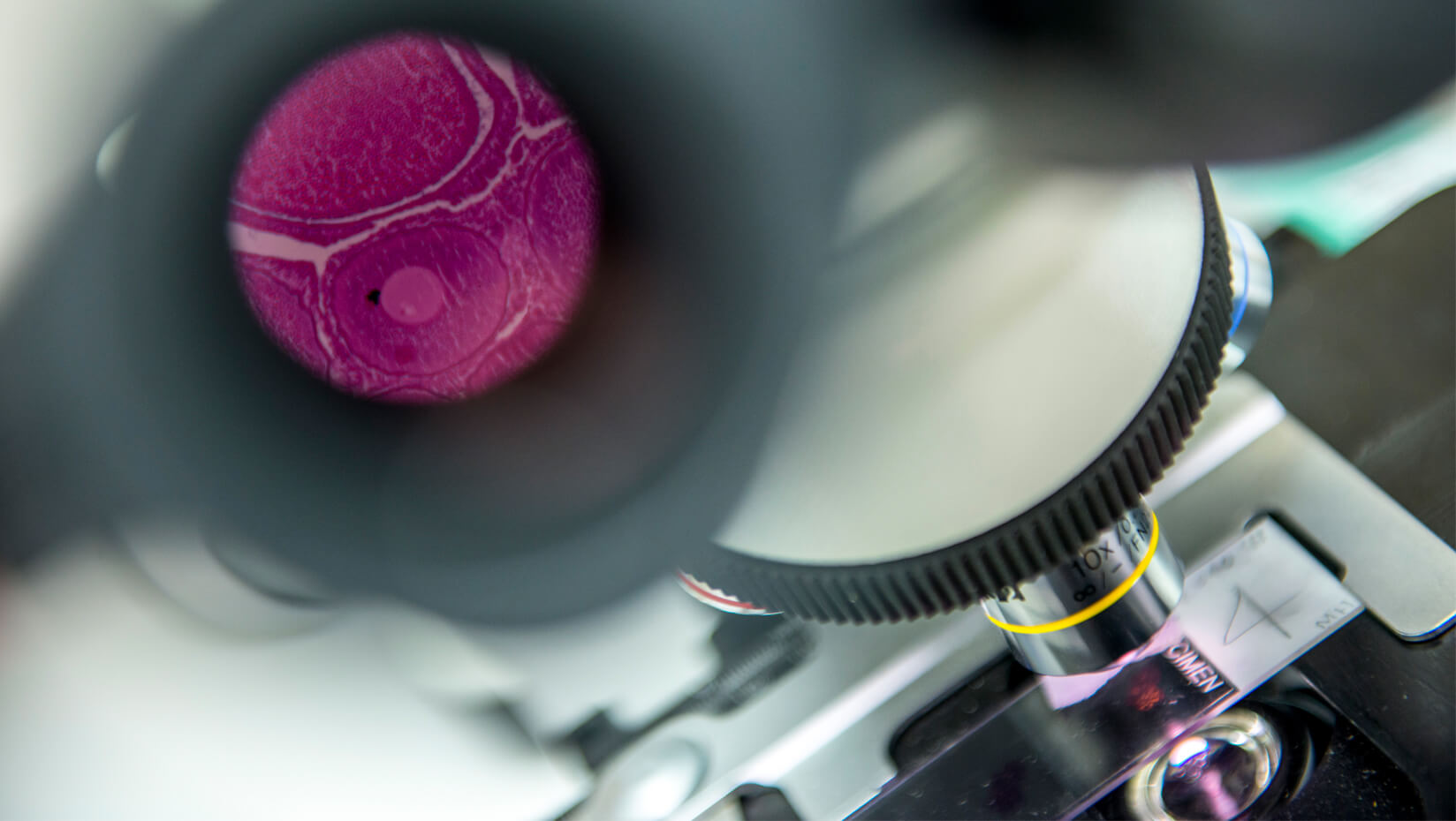 Close up view of a microscope