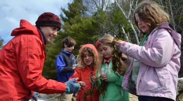 Children learning about seaweed