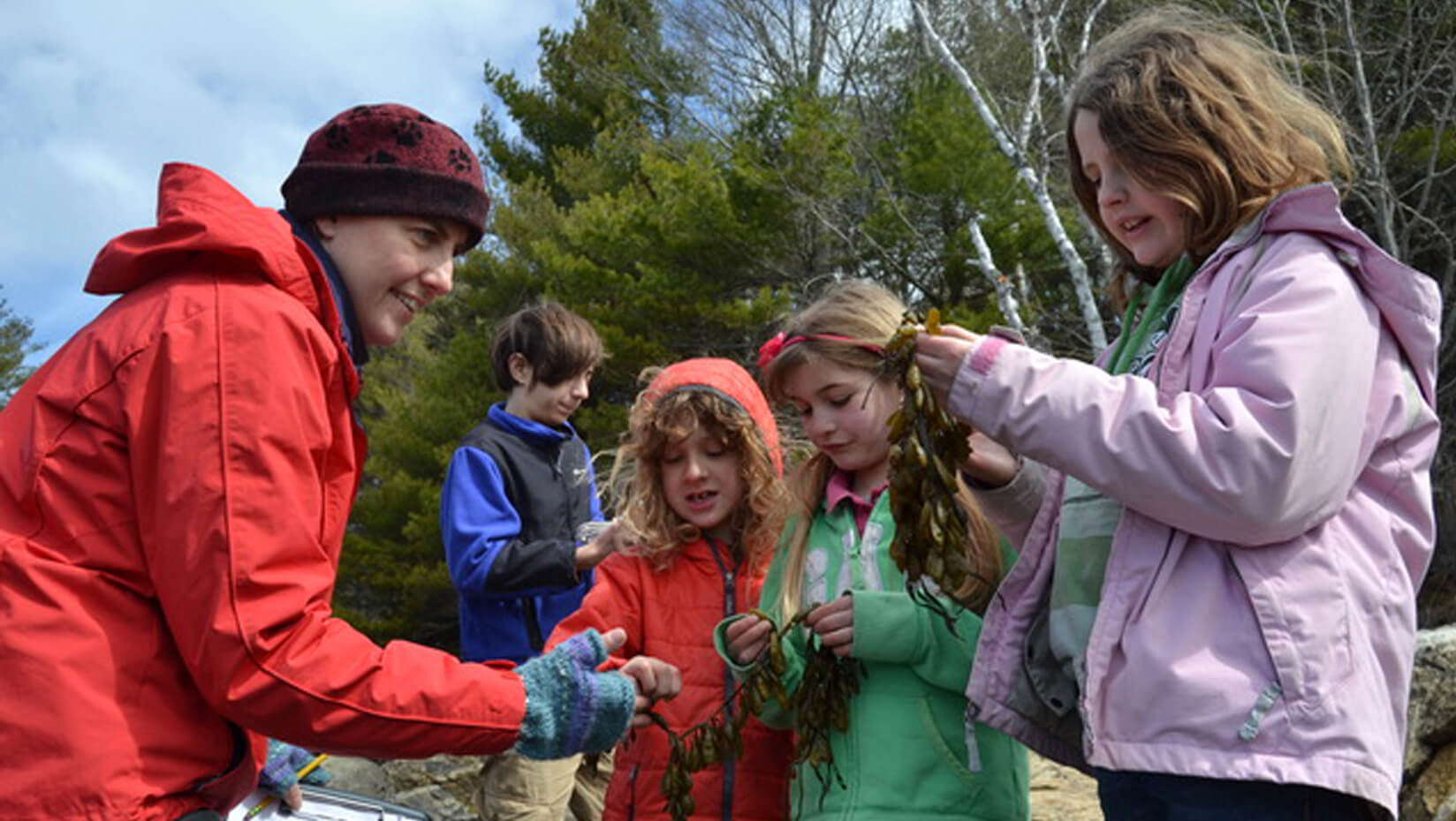 Children learning about seaweed