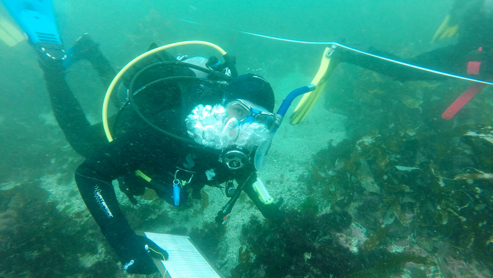 Student in research diving class