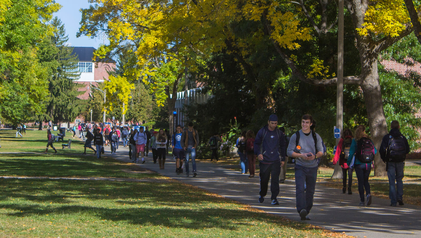 Students on UMaine's Mall