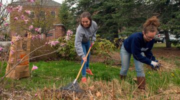 Maine Day volunteers raking on campus