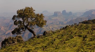 Ethiopian Highlands