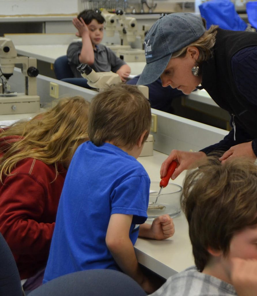 Students disect oysters