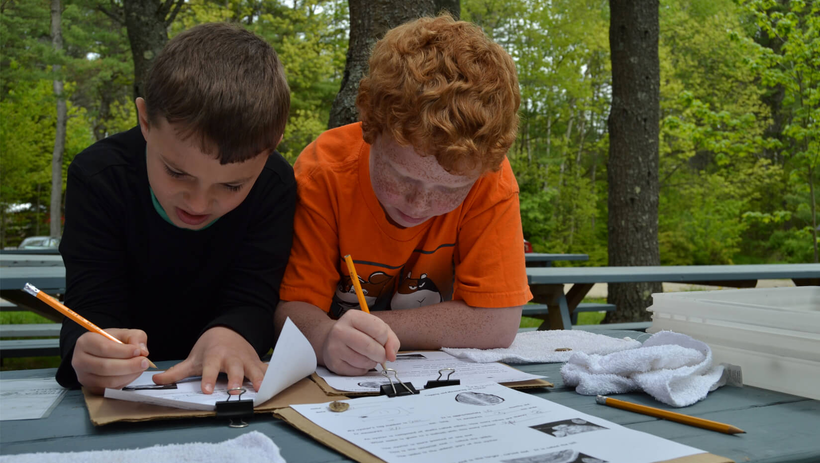 Third-graders measure oysters