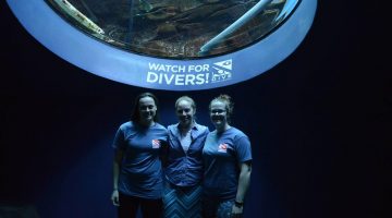 UMaine divers