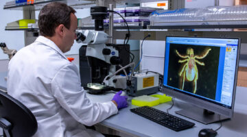 Tick lab research