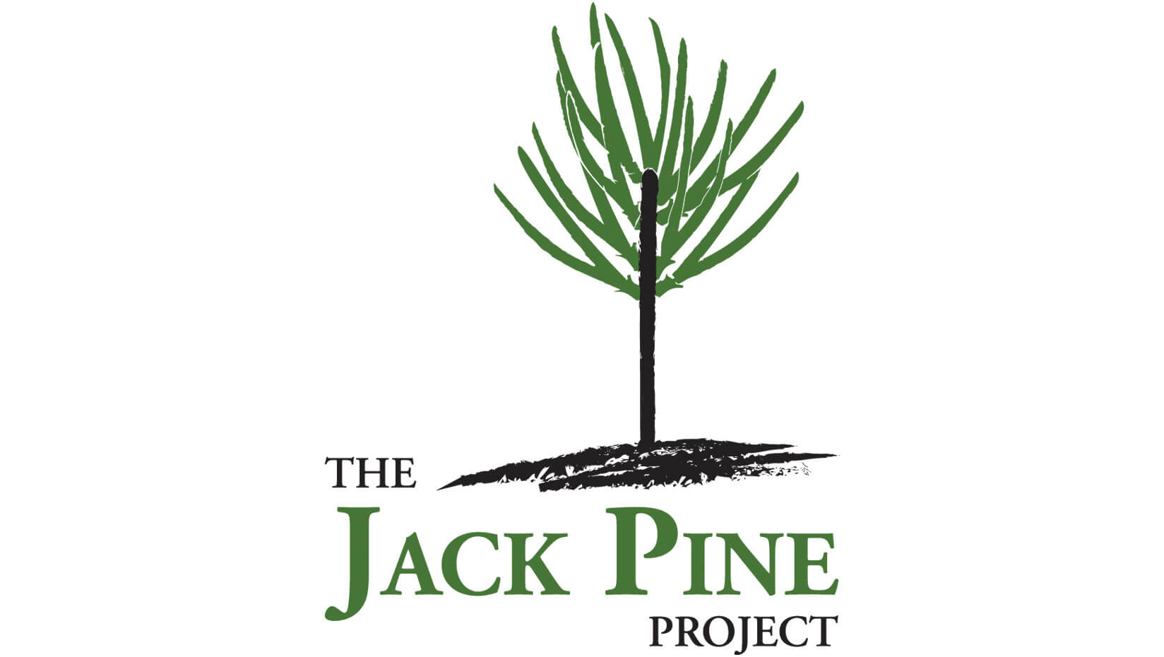 Jack Pine Project logo