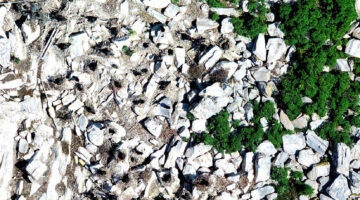 Aerial image of birds on a Maine island