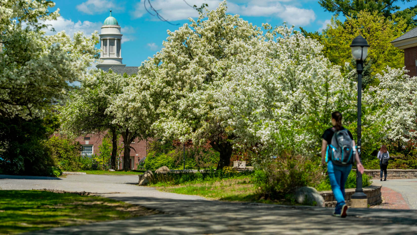 Students walk on campus in spring