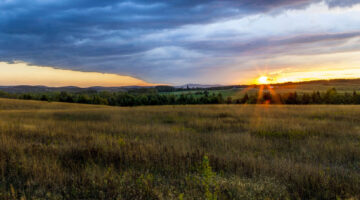A field in Mars Hill, Maine
