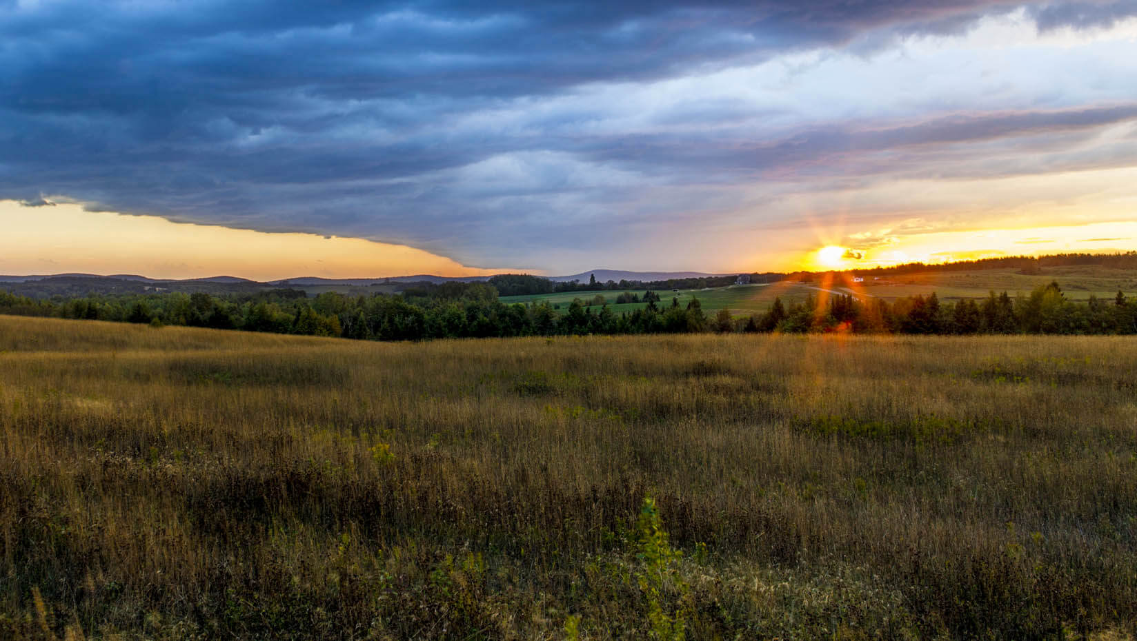 A field in Mars Hill, Maine