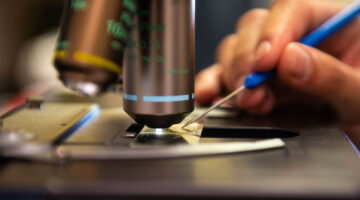 A photo of a microscope